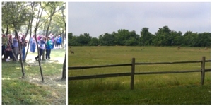 A First-Hand “View” of Tennessee Elk Restoration