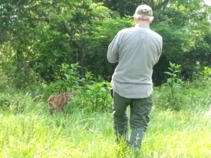 Calf born the day after the HC visit