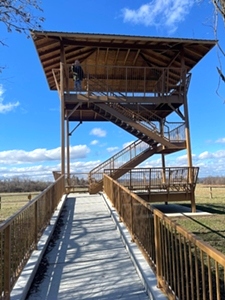 Tennessee Elk Viewing Tower