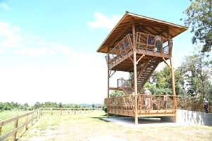 Tennessee Elk Viewing Tower